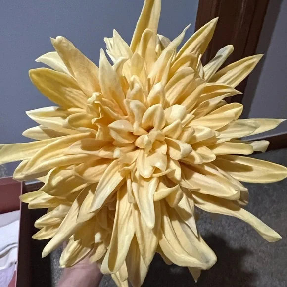 Cult Gaia Dee Dee Clutch - Picture 10 of 13